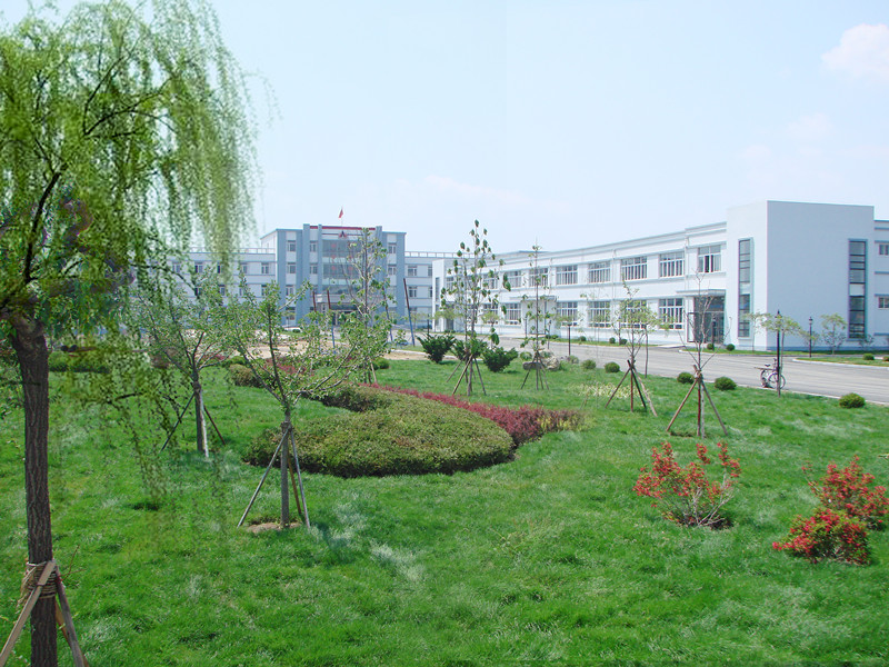 歡樂(lè)奧龍人，激昂青春夢(mèng)